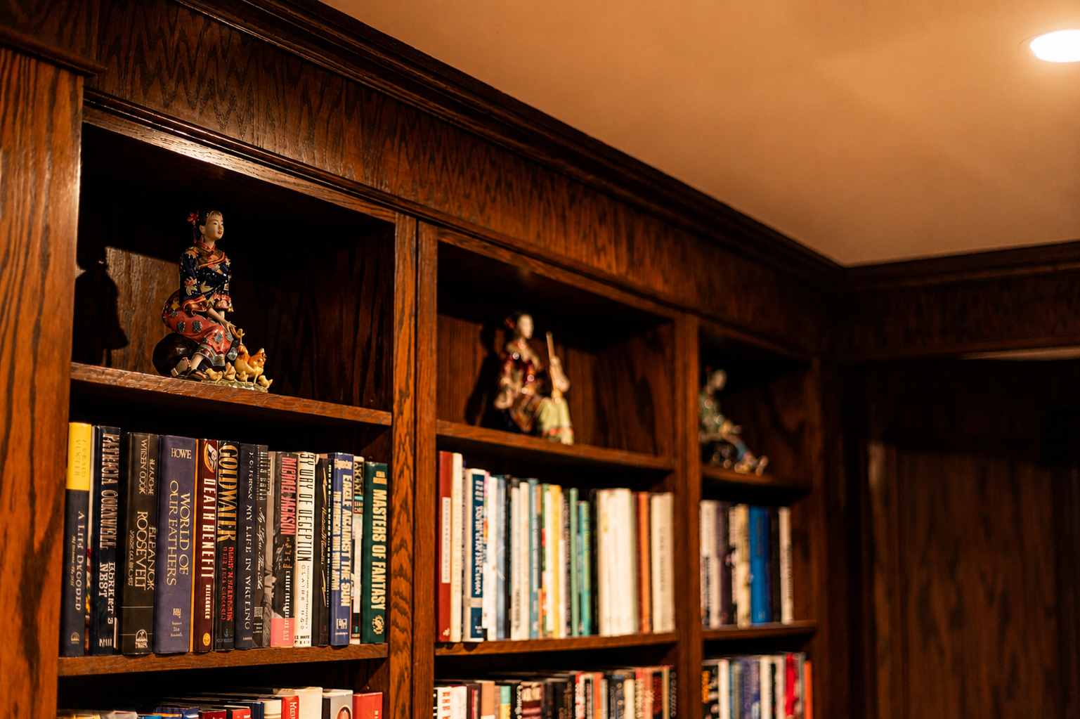 Library bookshelves
